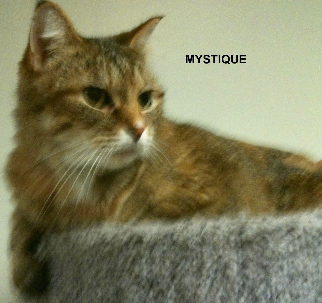 Mystique